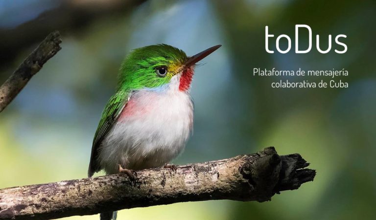 ToDus: Historia de un romance, distanciamiento y posible reencuentro ToDus: Historia de un romance, distanciamiento y posible reencuentro
