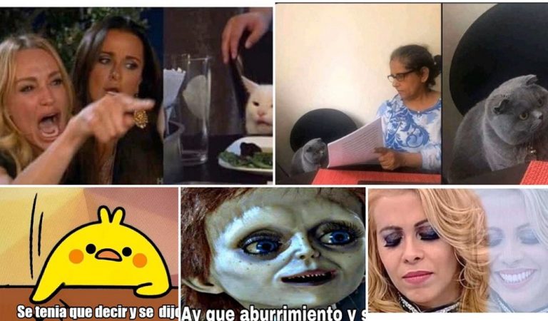 5 memes que se hicieron virales en este 2019 5 memes que se hicieron virales en este 2019